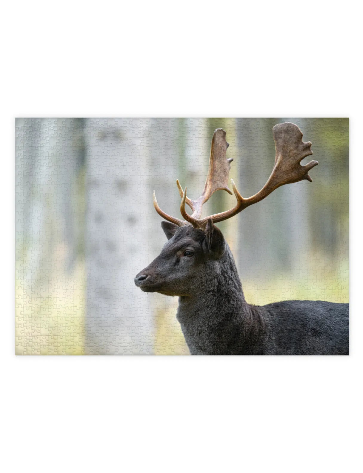 Mockup eines Puzzle eines Hirsch im Münchner Wald