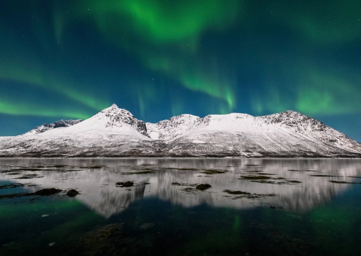 Polarlichter über Skjervøy