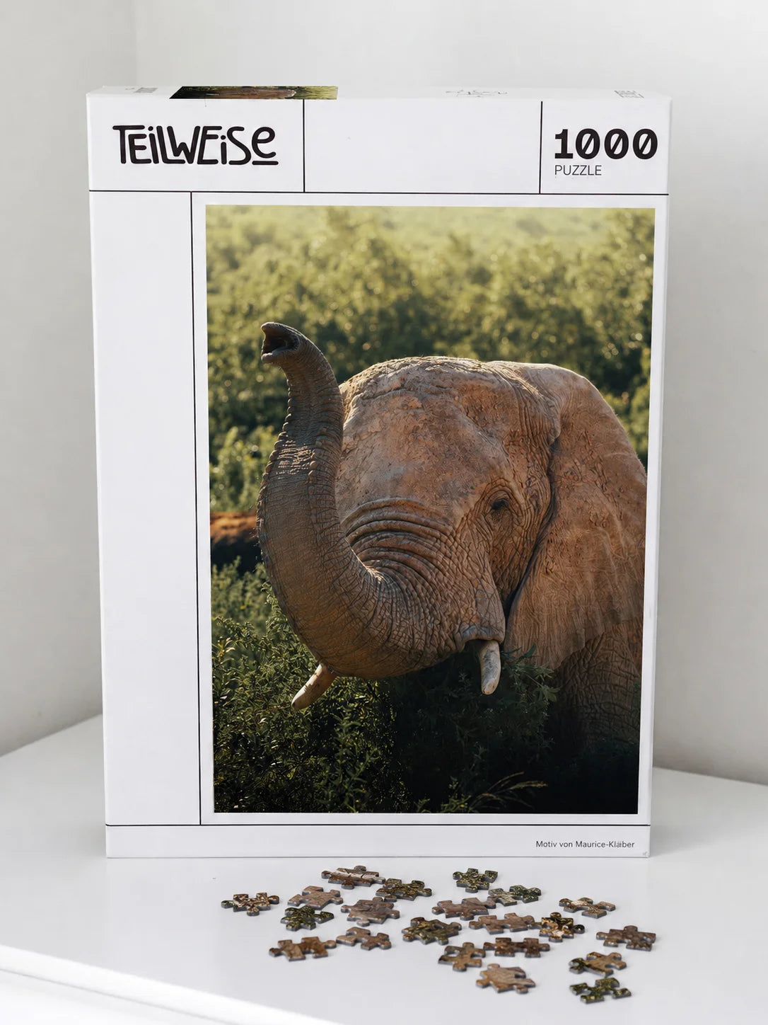Elefant in der Savanne