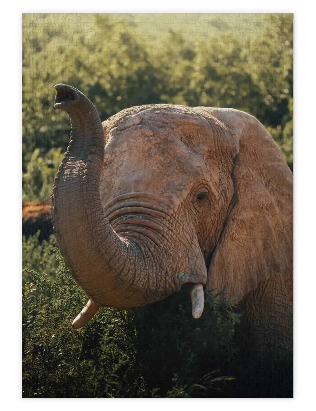Mockup eines Puzzle von einem Elefant in der Savanne