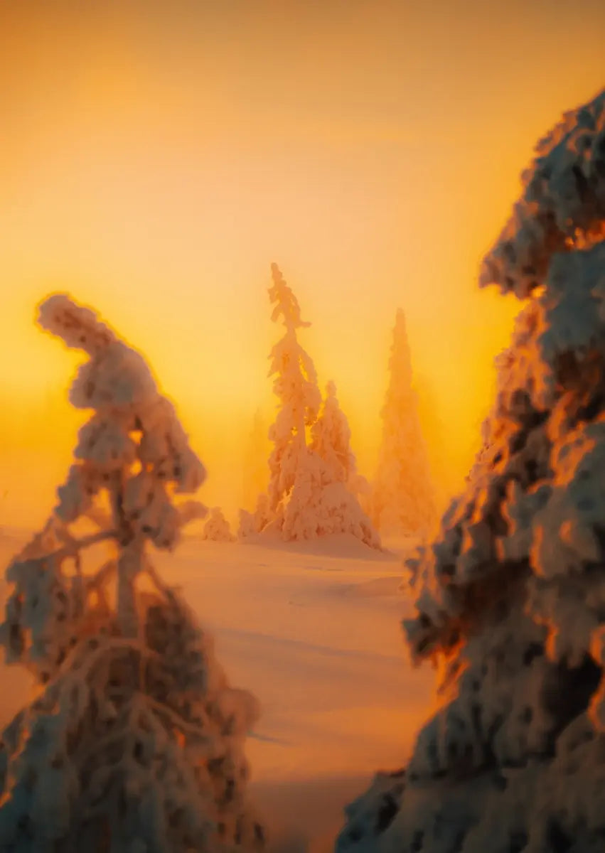 Goldene Stunde in Lappland