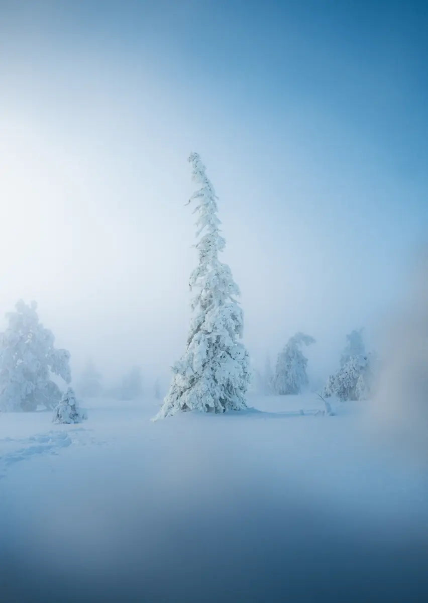 Schneeverwehungen in Lappland