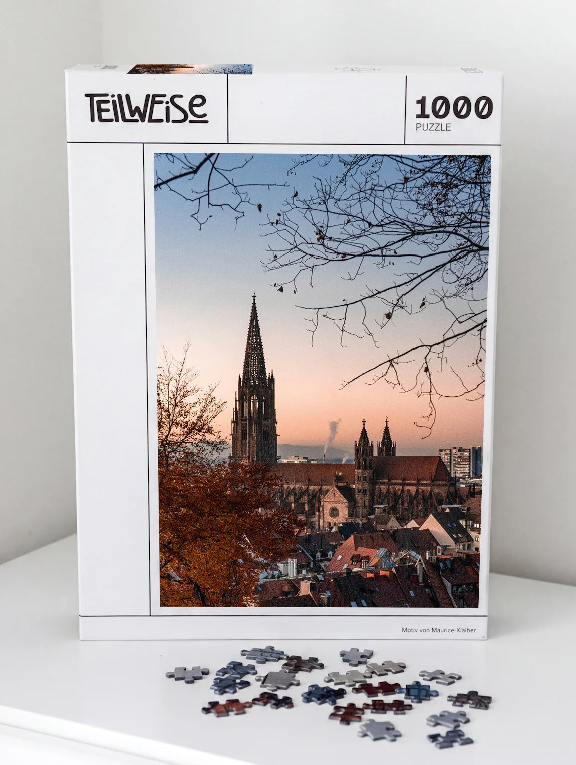 Altstadt von Freiburg im Abendlicht
