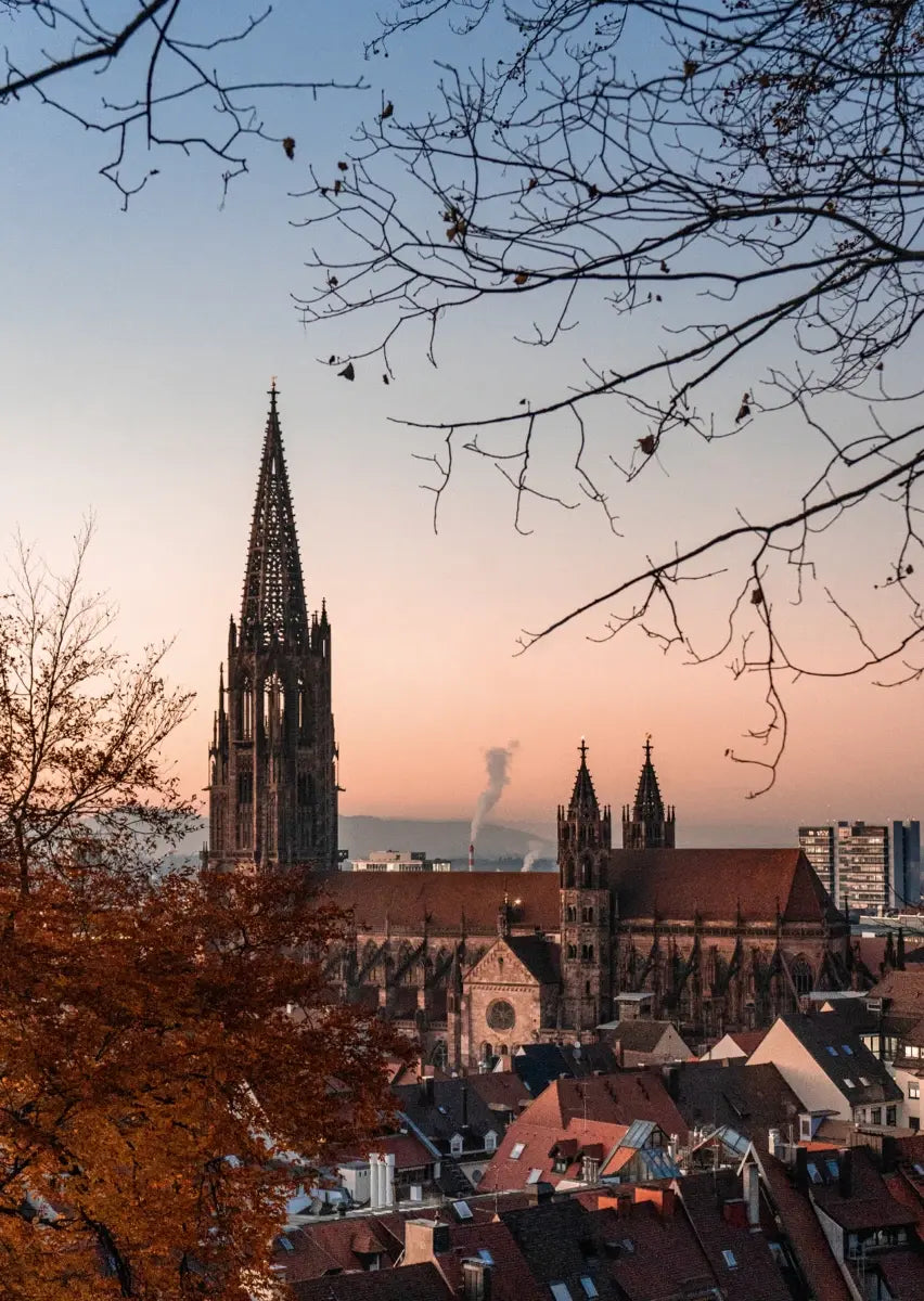 Altstadt von Freiburg im Abendlicht