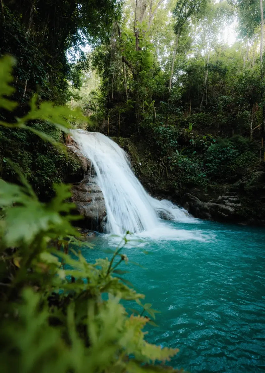 Wasserfall im Dschungel Jamaikas