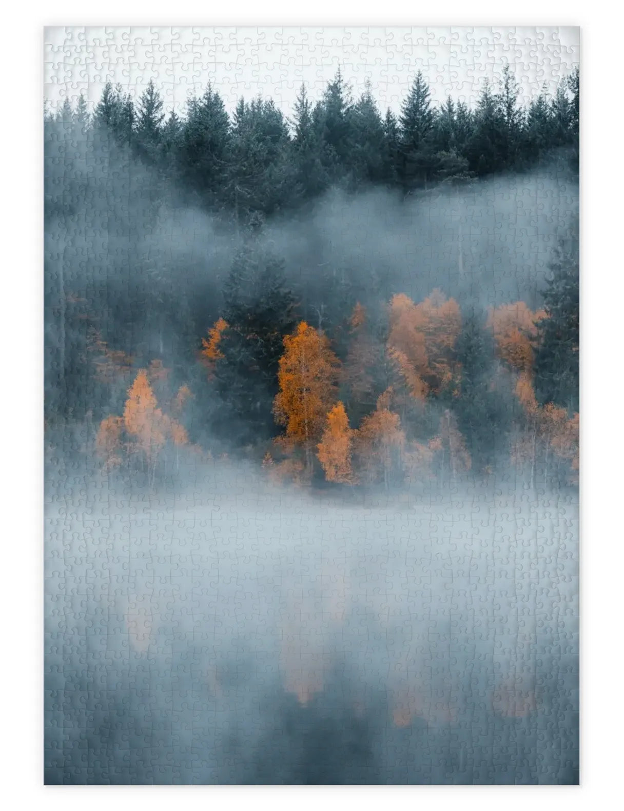 Mockup eines Puzzle eines nebligen Waldes im Schwarzwald