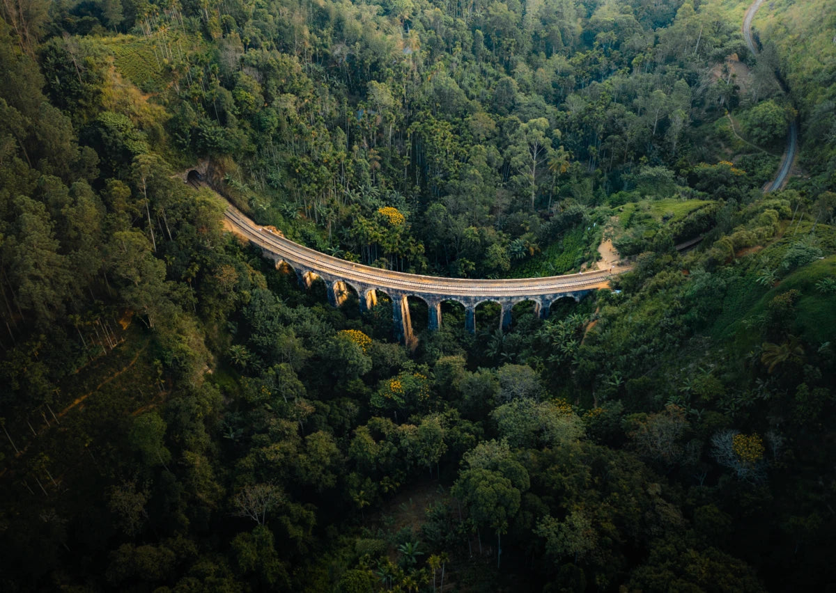 Brücke durch den Dschungel Sri Lankas