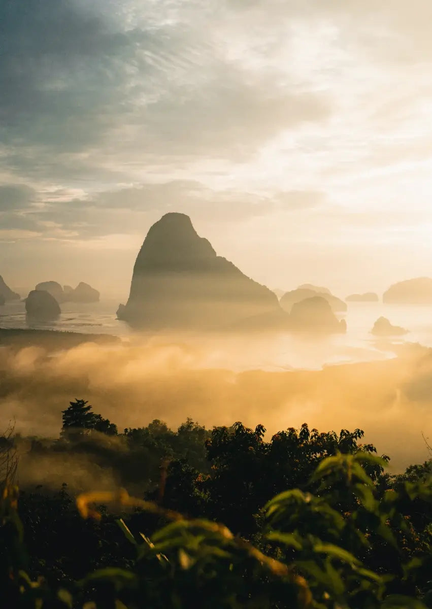 Nebelwald in Thailand